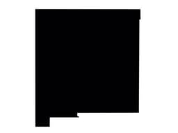 New Mexico outline